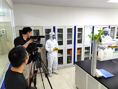 实验室DMF检测仪